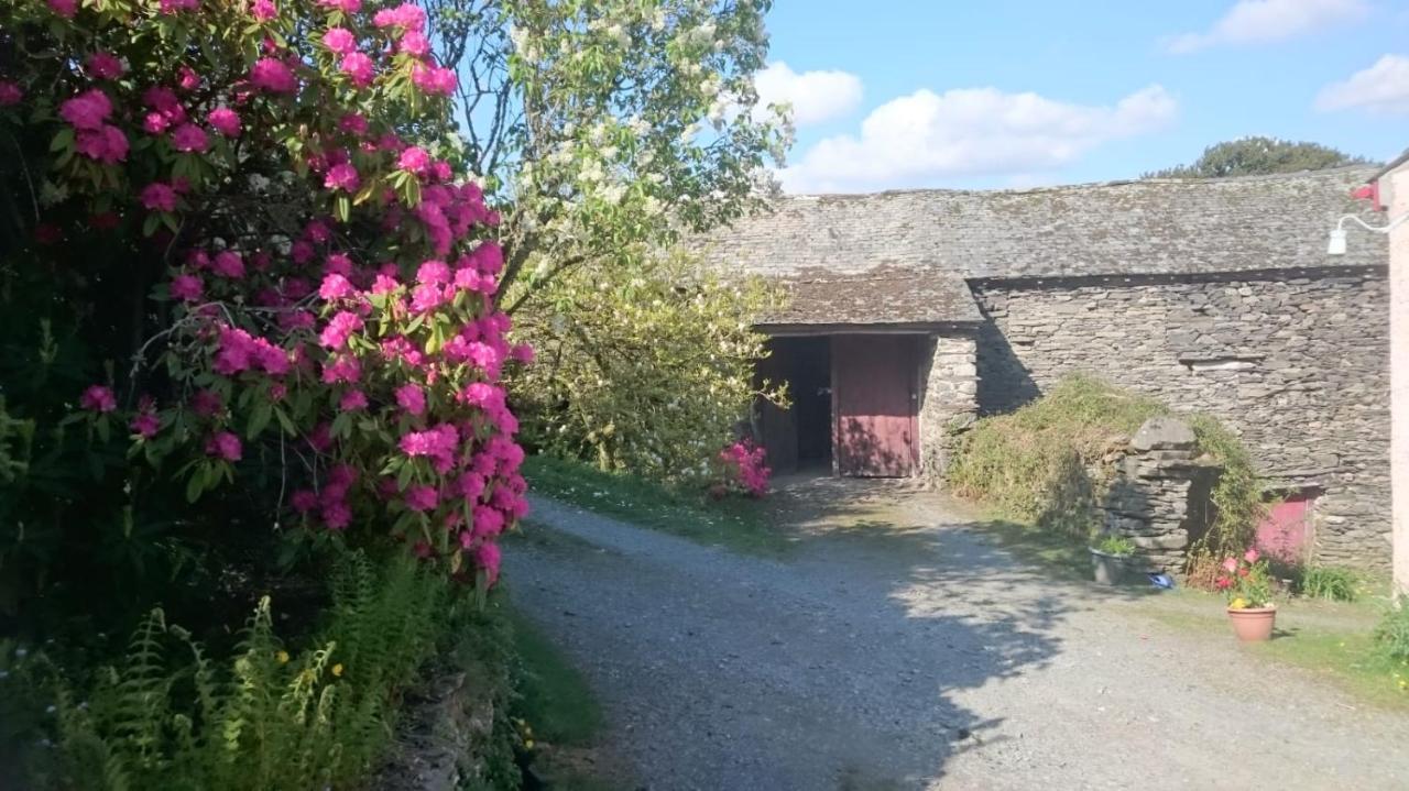 Low House Farm North, Troutbeck, Windermere Buitenkant foto